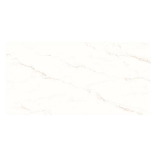 Venato Matte Porcelain Tile