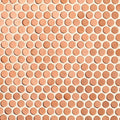 Copper Penny Glass Mosaic