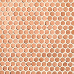 Copper Penny Glass Mosaic