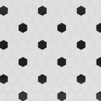White and Black Hexagon Polished Porcelain Mosaic