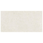 Ronin Ivory Matte Porcelain Tile