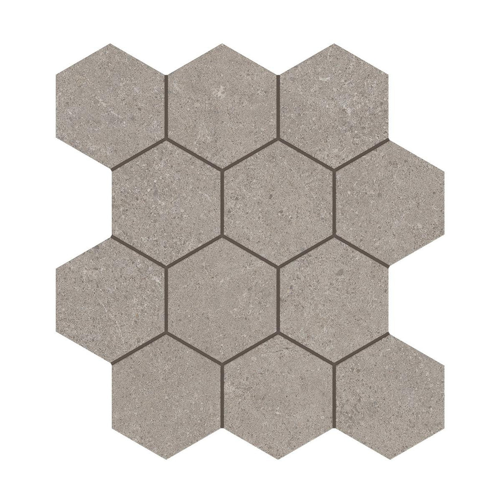 Capri Porcini Hexagon Matte Porcelain Mosaic