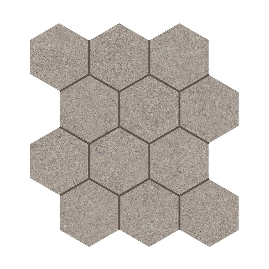 Capri Porcini Hexagon Matte Porcelain Mosaic