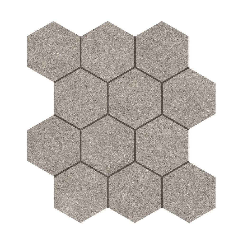 Capri Porcini Hexagon Matte Porcelain Mosaic