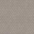 Capri Porcini Hexagon Matte Porcelain Mosaic